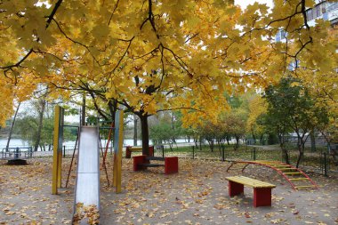 Sonbaharda sonbahar parkı