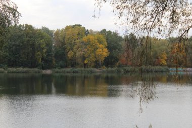 Göl ve ağaçlarla dolu güzel bir manzara