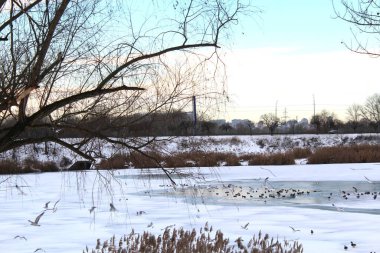 Parkın güzel manzarası