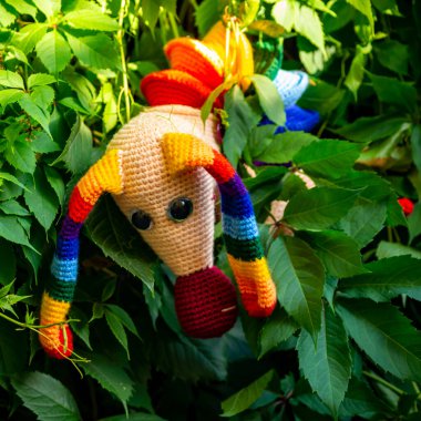 Amigurumi bebek gökkuşağı dachshund yazın bahçede bir fotoğrafçıya poz verir..