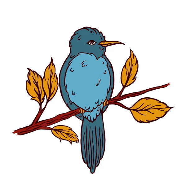 Bir kuşun vektör çizimi