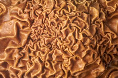 macro close-up of wrinkled dried fruit skin, deep reddish-brown abstract texture with irregular folds, full frame food background pattern
