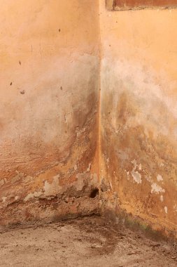 Beton zeminde yıpranmış duvar köşesi, nemli yamalı turuncu boya ve küf kalıntıları, fotokopi alanı, yenileme veya endüstriyel grunge arka plan kavramı ile tam çerçeve