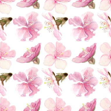 Sakura çiçekleri narin sulu boya deseni yumuşak pembe tonlarda, elle boyanmış doğal botanik tarzında. Düğün davetiyeleri, bahar kartları, ambalaj ve tekstil tasarımı için mükemmel.