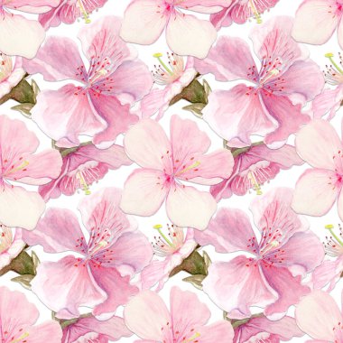 Sakura çiçekleri narin sulu boya deseni yumuşak pembe tonlarda, elle boyanmış doğal botanik tarzında. Düğün davetiyeleri, bahar kartları, ambalaj ve tekstil tasarımı için mükemmel.