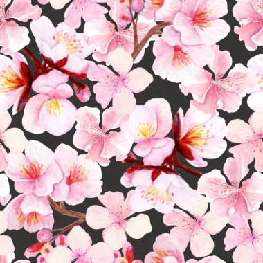Narin pembe yapraklı, dikişsiz kiraz çiçeği dalı. Gri arka planda elle boyanmış suluboya klip sanatı bahar dekorasyonu, düğün davetiyeleri, Asya tasarımı veya çiçek projeleri için mükemmel..