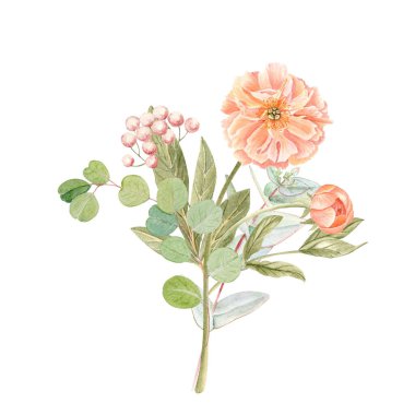 Yumuşak şeftali tonlarında okaliptüs buketli şakayık. Beyaza izole edilmiş suluboya çizimi. Yüksek detaylarla elle boyanmış. Düğün davetiyeleri için mükemmel. Marka, ambalaj, kumaş tasarım kartları.