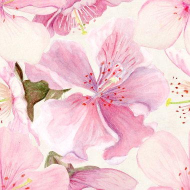 Sakura çiçekleri narin sulu boya deseni yumuşak pembe tonlarda, elle boyanmış doğal botanik tarzında. Düğün davetiyeleri, bahar kartları, ambalaj ve tekstil tasarımı için mükemmel.