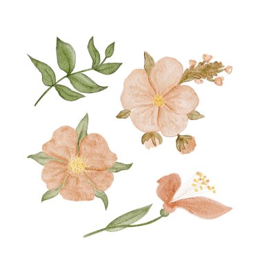 Şeftali çiçekli botanik seti, beyaza izole edilmiş yeşil yapraklı suluboya. Düğün kırtasiyesi, damgalama, ambalaj, davetiye, modern kadın için zarif el yapımı doğal klip sanatı.
