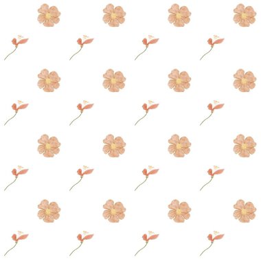 Temiz beyaz arka plana serpilmiş şeftali çiçekleriyle kusursuz suluboya desenli çiçek deseni. Moda tekstil ürünleri, kumaş baskı, ambalaj, kırtasiye ve