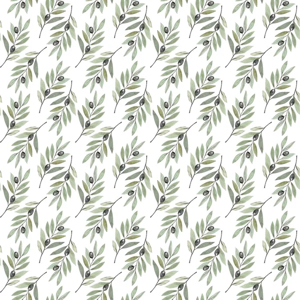 Beyaz arka planda yumuşak suluboya şeklinde kusursuz zeytin dalı deseni. Paskalya, Palm Sunday için mükemmel, kilise malzemeleri için sakin bir dini tasarım, davetiyeler, posterler, inanç tabanlı baskı projeleri.