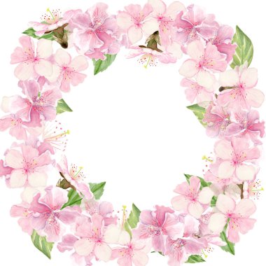 Yumuşak pembe sakura çiçekleriyle suluboya kiraz çiçeği çelengi ve beyaz arkaplanda dairesel bir çerçeveye yerleştirilmiş ince yeşil yapraklar. Taze bahar havasında hafif botanik kompozisyonu