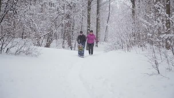 Молодая веселая семья катается на санках по зимнему пейзажу — стоковое видео