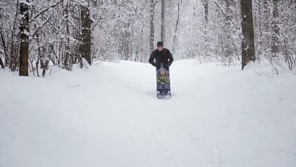 年轻的滑稽家庭雪橇在冬季景观 — 图库视频影像