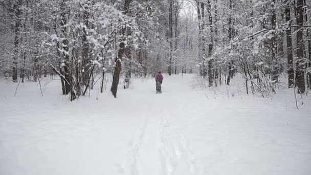 Jovem família engraçada é trenó no inverno-paisagem — Vídeo de Stock