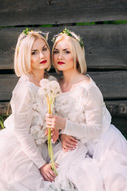 Dandelions üfleme ikiz kardeşler