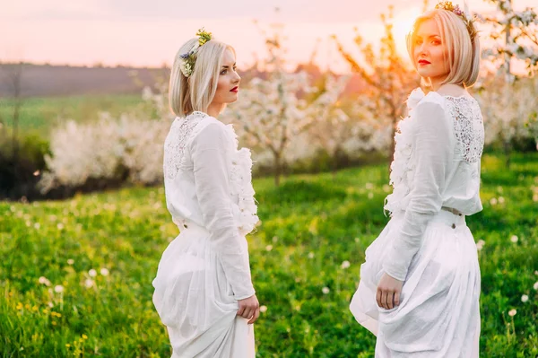 Due sorelle gemelle in fiore di ciliegio — Foto Stock