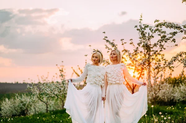 Duas irmãs gêmeas em uma flor de cereja — Fotografia de Stock