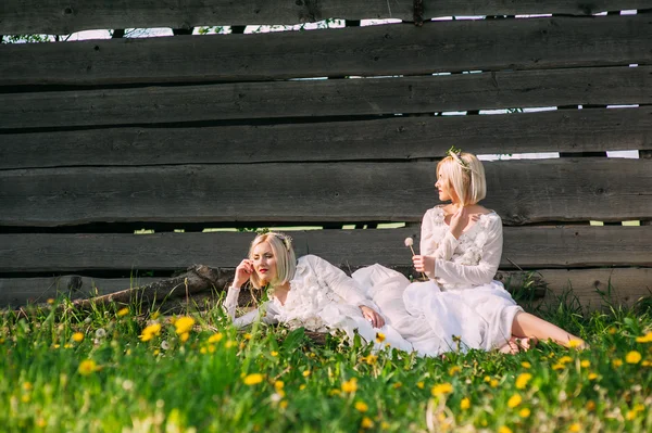 쌍둥이 자매는 나무 벽에 앉아 — 스톡 사진