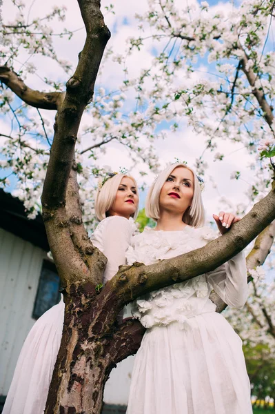 Two twin sisters in a cherry blossom — Stock Photo, Image