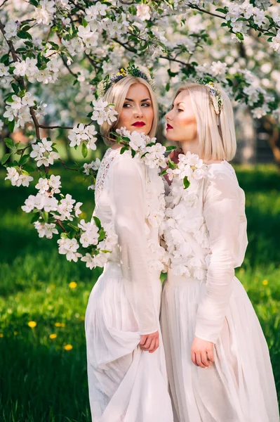 Duas irmãs gêmeas em uma flor de cereja — Fotografia de Stock