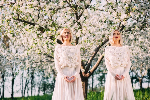 Due sorelle gemelle in fiore di ciliegio — Foto Stock