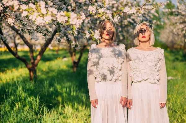 Two twin sisters in a cherry blossom — Stock Photo, Image