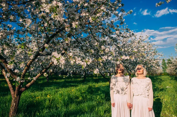 Dos hermanas gemelas en flor de cerezo — Foto de Stock