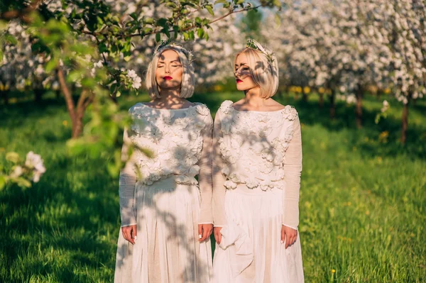 Two twin sisters in a cherry blossom — Stock Photo, Image