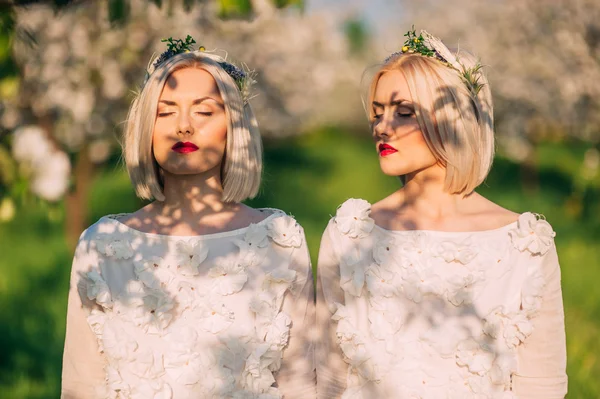 Dos hermanas gemelas en flor de cerezo — Foto de Stock