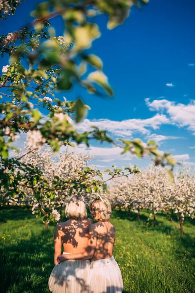 Två tvillingsystrar i en cherry blossom — Stockfoto