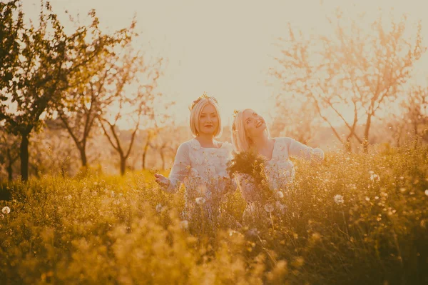 Twins meisjes uitrekken handen naar de hemel — Stockfoto