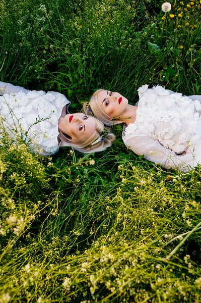 緑の草の上に横たわる双子姉妹 — ストック写真