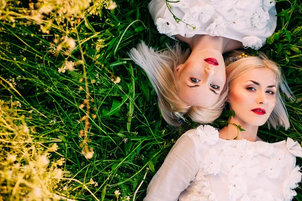 Hermanas gemelas tumbadas sobre hierba verde — Foto de Stock