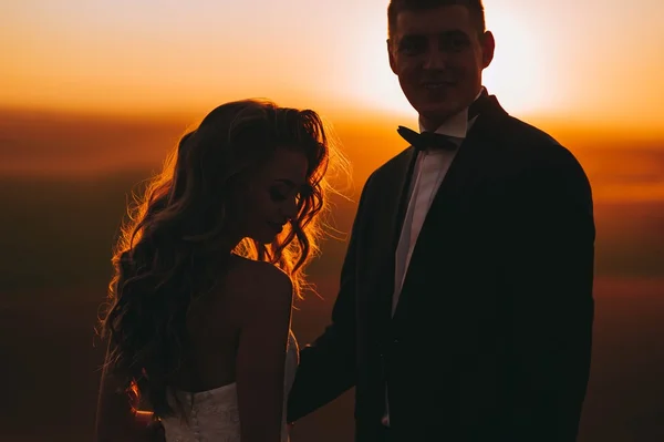 Silhouettes of a young bride and groom — ストック写真