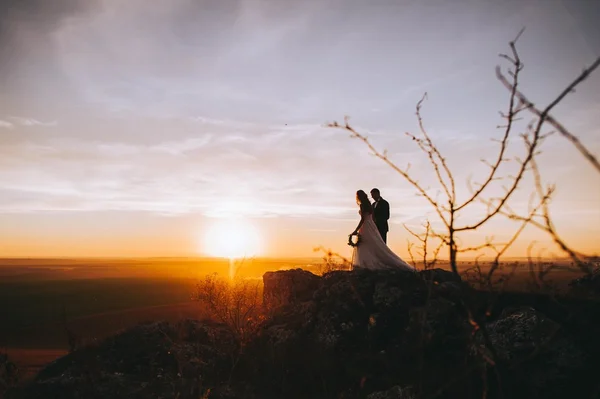 Silhouettes of a young bride and groom — Stok fotoğraf