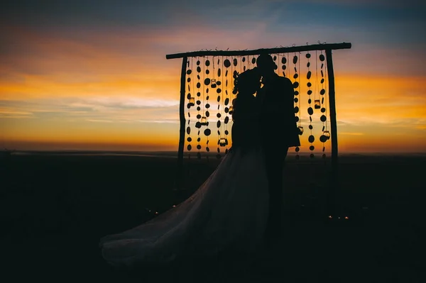 Silhouette di una giovane sposa e sposo — Foto Stock