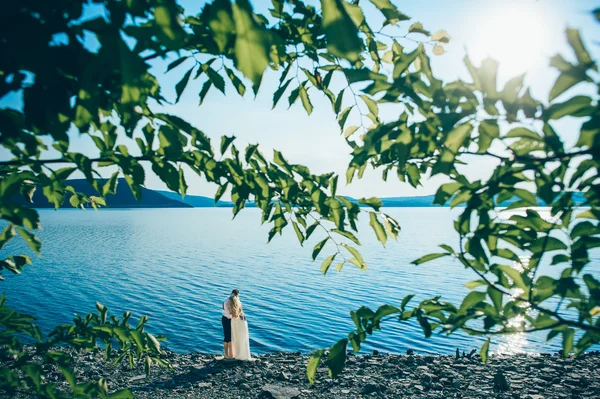 Güzel sarışın gelin ve şık damat — Stok fotoğraf