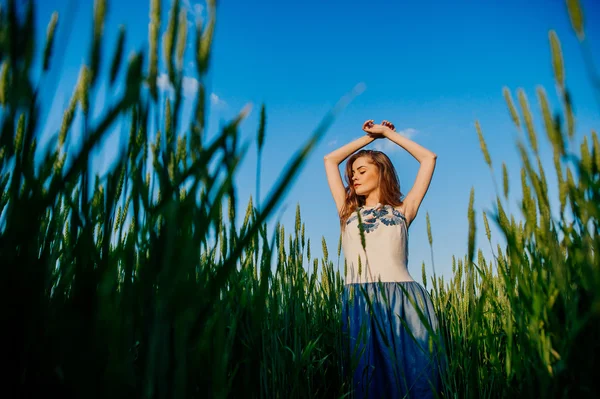 Beautiful girl standing in a wheat field — Stock Photo, Image