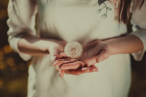 Bir karahindiba holding kızın eller — Stok fotoğraf
