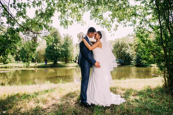 Portrait de mariage d'un jeune couple — Photo