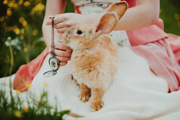 Linda menina ruiva com coelho — Fotografia de Stock