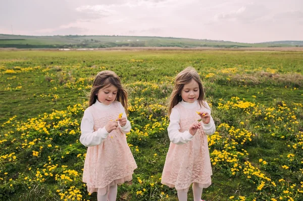 귀여운 쌍둥이 자매 — 스톡 사진