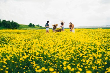 dört güzel hippi kız