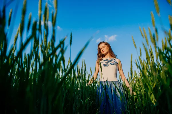 Красивая девушка, стоящая на пшеничном поле — стоковое фото