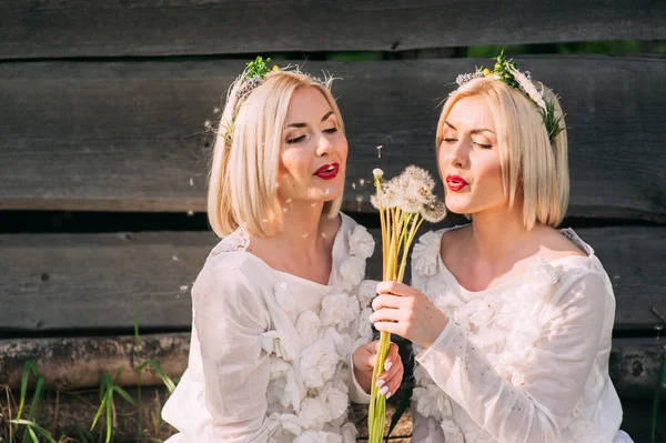 Hermanas gemelas soplando dientes de león —  Fotos de Stock