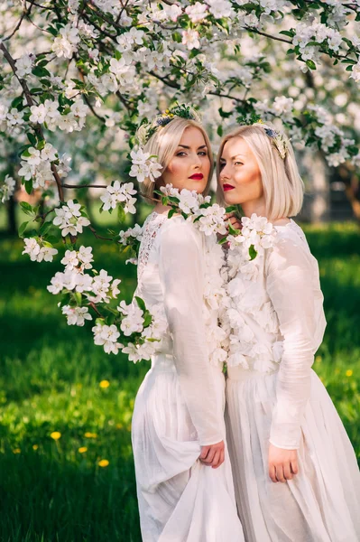 두 쌍둥이 자매는 벚꽃에 — 스톡 사진