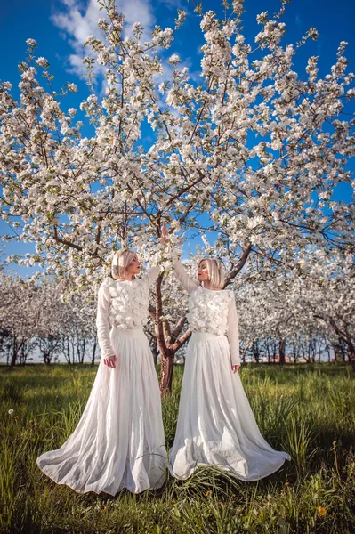Дві сестри-близнючки в вишневому цвіті — стокове фото