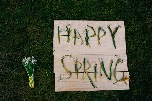 Joyeux printemps lettres florales — Photo