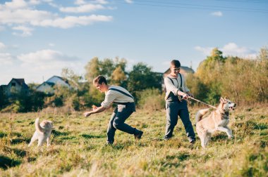husky köpekleri ile iki ikiz kardeşler